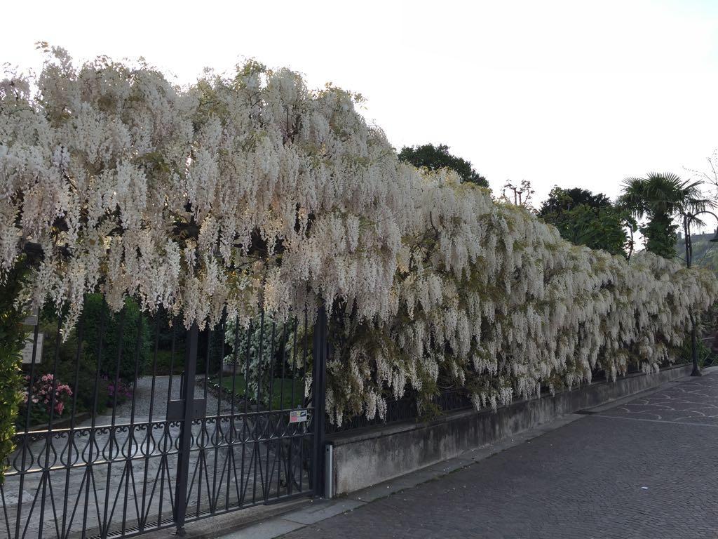 Ostello Villa Olmo Como Exterior foto